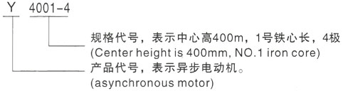 西安泰富西玛Y系列(H355-1000)高压YR5004-10/280KW三相异步电机型号说明